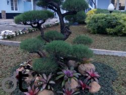 Taman_dtarsitektur