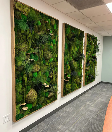 Mosswall 2