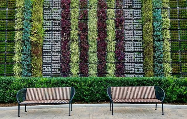 VG 6
