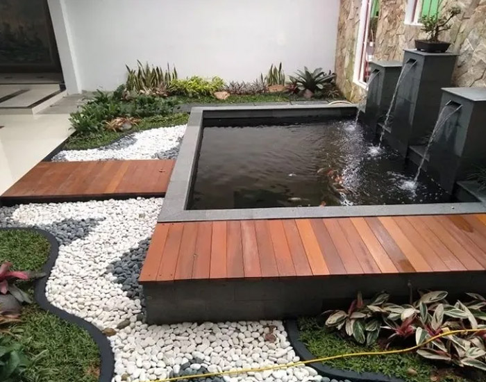 kolam-koi-4